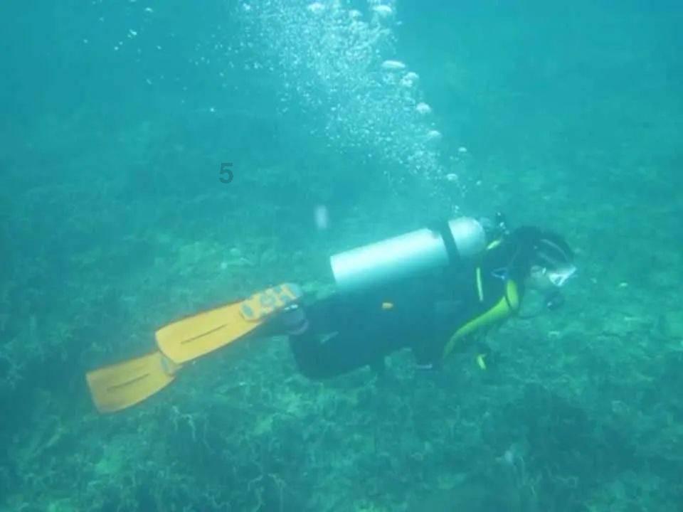 萌兔兔闯关